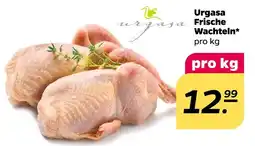 NETTO Urgasa frische wachteln Angebot