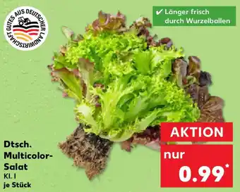 Kaufland Dtsch. Multicolor- Salat Angebot