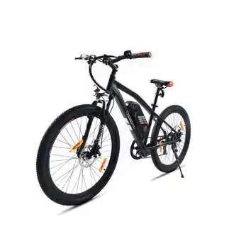 Netto Marken-Discount SachsenRAD E-Racing Mountainbike R6 500Wh Angebot