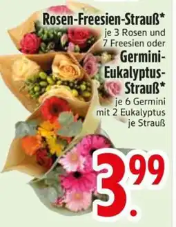 Edeka Rosen-Freesien-Strauss oder Germini-Eukalyptus-Strauss Angebot