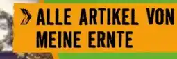Hornbach Action 15 Angebot
