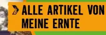 Hornbach Action 15 Angebot