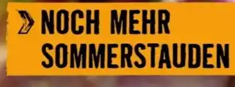 Hornbach Action 28 Angebot