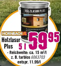 Hornbach Holzlasur Plus Angebot