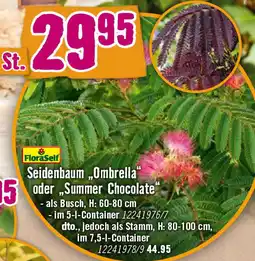 Hornbach FloraSelf Seidenbaum ,,Ombrella" oder Summer Chocolate Angebot