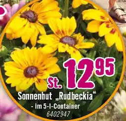 Hornbach Sonnenhut „Rudbeckia" Angebot