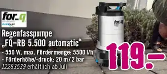 Hornbach for_q Regenfasspumpe FQ-RB 5.500 automatic Angebot