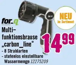 Hornbach for_q Multifunktionsbrause „carbon_line" Angebot