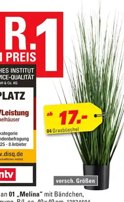 Höffner Grasbüschel Angebot