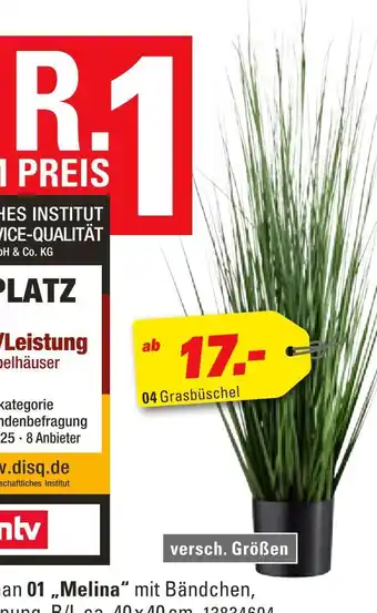 Höffner Grasbüschel Angebot