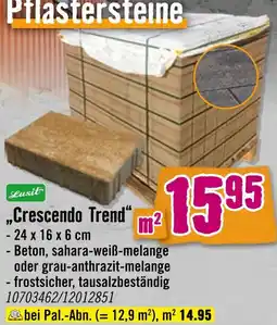 Hornbach Leusit pflastersteine „crescendo trend“ Angebot