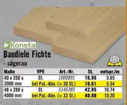 Hornbach Konsta baudiele fichte Angebot