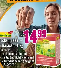 Hornbach Floraself trockenrasen – klimarasen, 1 kg Angebot