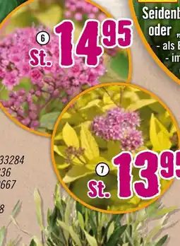 Hornbach Sommerspiere „magic carpet“ Angebot