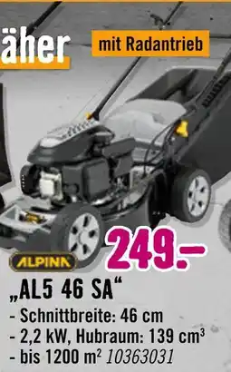 Hornbach Alpina al5 46 sa Angebot
