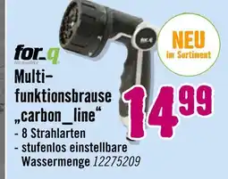 Hornbach For.quality multifunktionsbrause „carbon_line“ Angebot