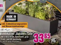 Hornbach Lechuza blumenkasten balconera color Angebot