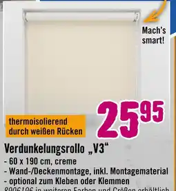 Hornbach Verdunkelungsrollo v3 Angebot