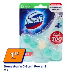 Action Domestos WC-Stein Power 5 Angebot