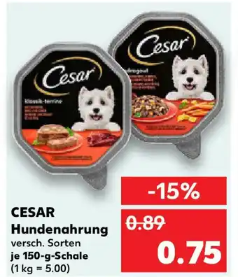 Kaufland CESAR Hundenahrung Angebot