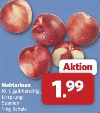 Combi Nektarinen Angebot