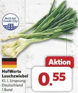 Combi HofWerte Lauchzwiebel Angebot