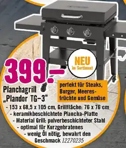 Hornbach Planchagrill „Plandor TG-3" Angebot