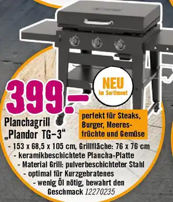 Hornbach Planchagrill „Plandor TG-3" Angebot
