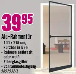 Hornbach Alu-Rahmentür Angebot