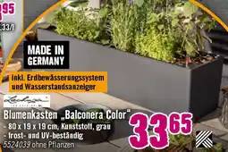 Hornbach Blumenkasten „Balconera Color" Angebot