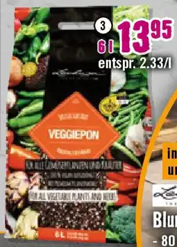 Hornbach Pflanzgranulat „Veggie Pon" Angebot