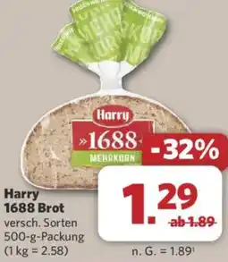 Combi Harry 1688 Brot Angebot