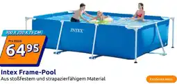 Action Intex frame-pool Angebot