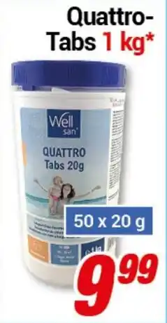 CENTERSHOP Well Quattro- Tabs Angebot