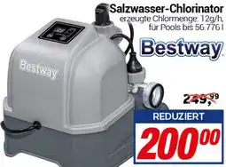 CENTERSHOP Bestway Salzwasser-Chlorinator Angebot