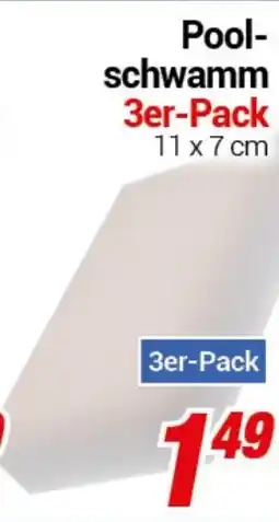 CENTERSHOP Pool- schwamm 3er-Pack Angebot