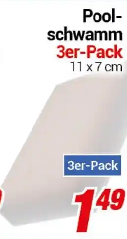 CENTERSHOP Pool- schwamm 3er-Pack Angebot