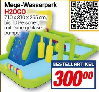 CENTERSHOP Mega-Wasserpark H2OGO Angebot
