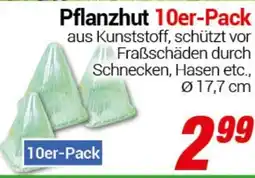 CENTERSHOP Pflanzhut 10er-Pack Angebot