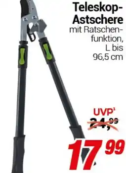 CENTERSHOP Teleskop- Astschere Angebot
