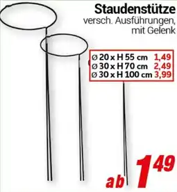 CENTERSHOP Staudenstütze Angebot