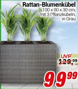 CENTERSHOP Rattan-Blumenkübel Angebot