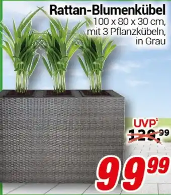 CENTERSHOP Rattan-Blumenkübel Angebot