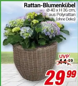 CENTERSHOP Rattan-Blumenkübel Angebot