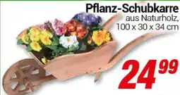 CENTERSHOP Pflanz-Schubkarre Angebot