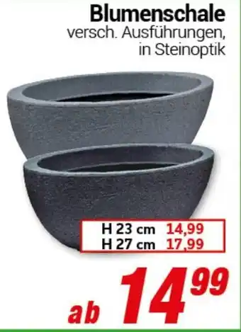 CENTERSHOP Blumenschale Angebot