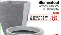 CENTERSHOP Blumentopf eckig Angebot