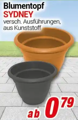 CENTERSHOP Blumenkasten SYDNEY Angebot