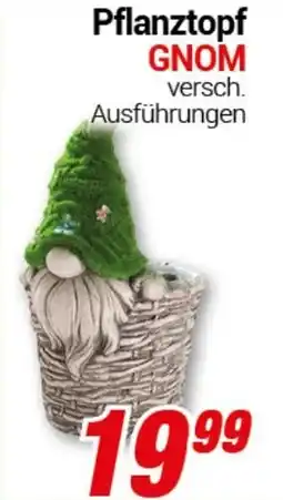 CENTERSHOP Pflanztopf GNOM Angebot