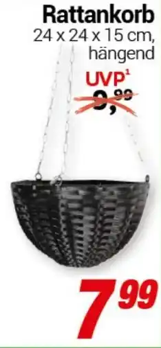 CENTERSHOP Rattankorb Angebot